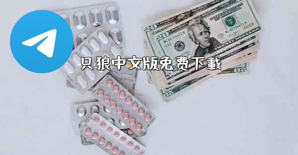 只狼中文版免费下載