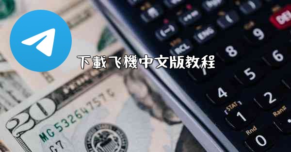 下載飞機中文版教程