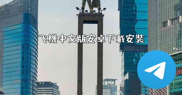 飞機中文版安卓下載安裝