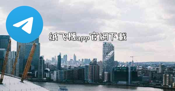 纸飞機app官網下載