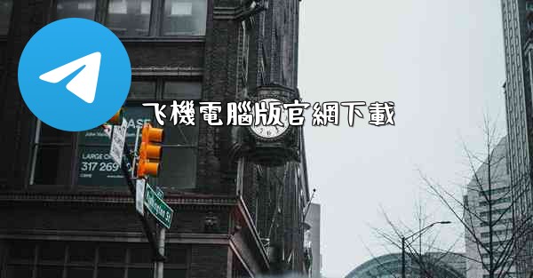 飞機電腦版官網下載