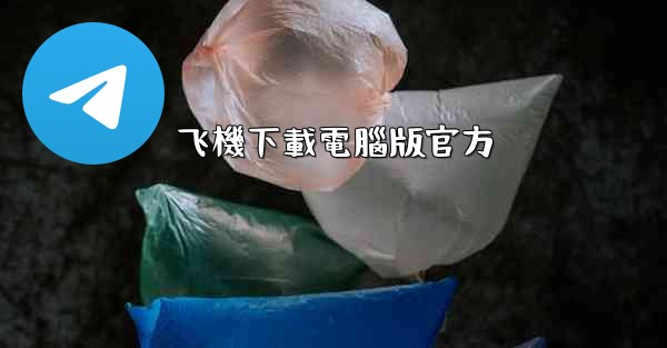 飞機下載電腦版官方