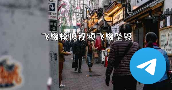 飞機模拟视频飞機坠毁