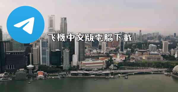 飞機中文版電腦下載