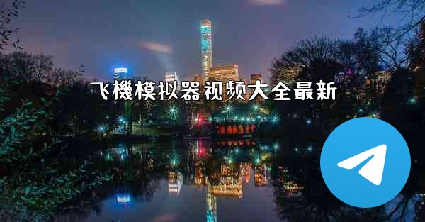飞機模拟器视频大全最新