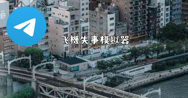 飞機失事模拟器