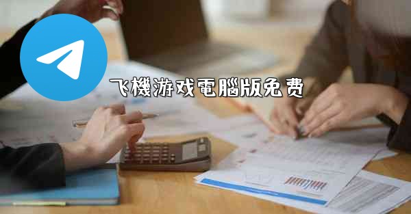 飞機游戏電腦版免费