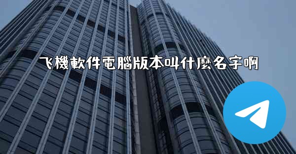 飞機軟件電腦版本叫什麼名字啊