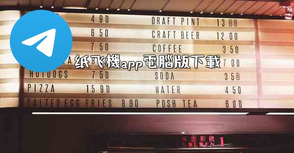 纸飞機app電腦版下載