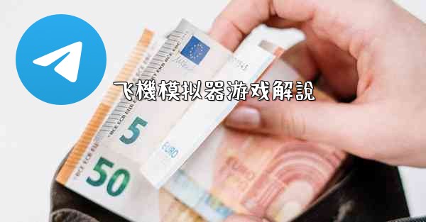 飞機模拟器游戏解說