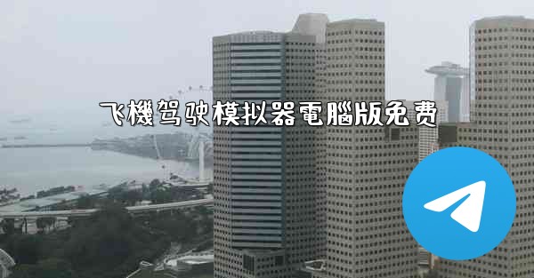 飞機驾驶模拟器電腦版免费