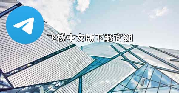 飞機中文版下載官網