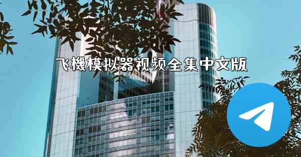 飞機模拟器视频全集中文版