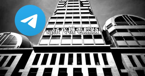 tg纸飞機電腦版