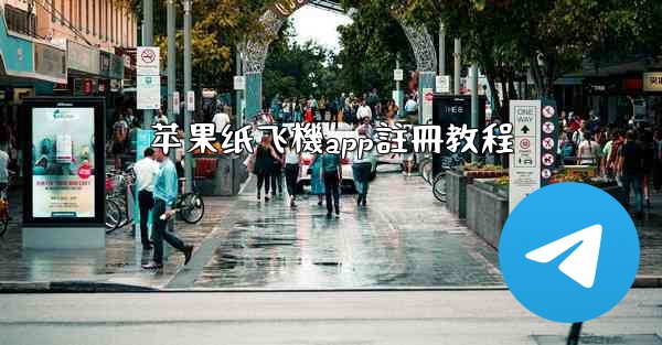 苹果纸飞機app註冊教程