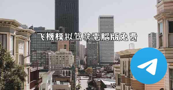 飞機模拟驾驶電腦版免费