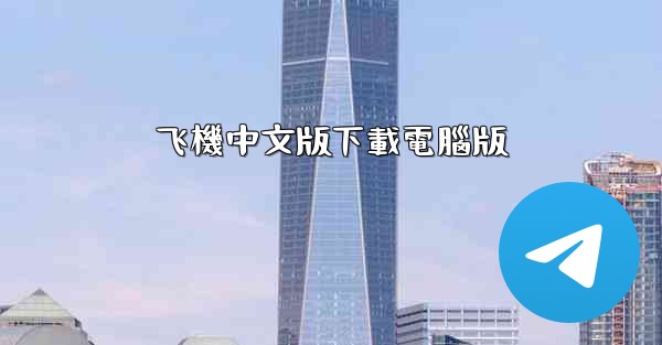 飞機中文版下載電腦版