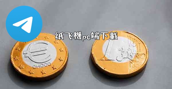 纸飞機pc端下載