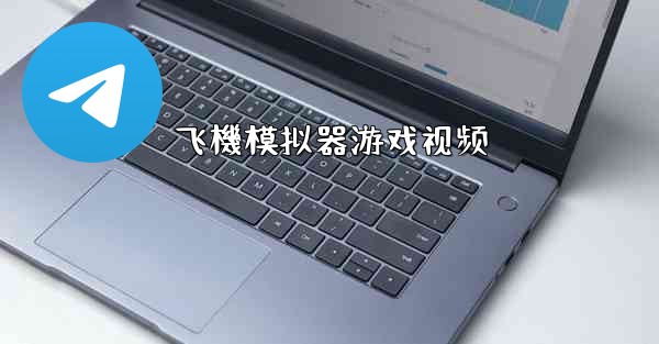 飞機模拟器游戏视频