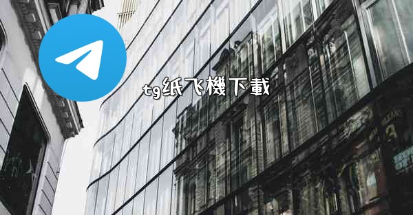 tg纸飞機下載