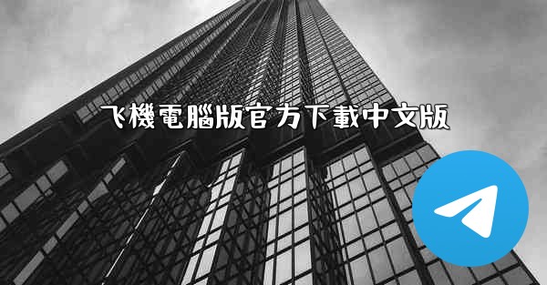 飞機電腦版官方下載中文版