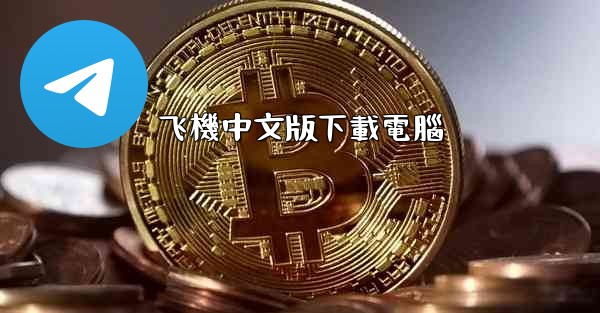 飞機中文版下載電腦