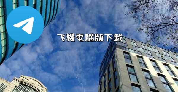 飞機電腦版下載