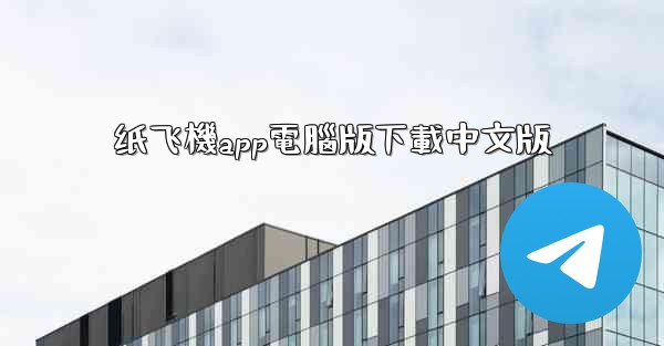纸飞機app電腦版下載中文版
