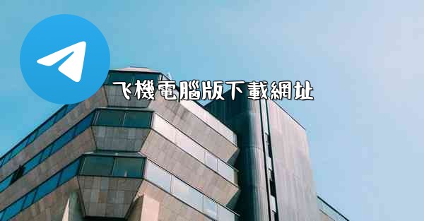 飞機電腦版下載網址