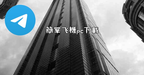 簡單飞機pc下載
