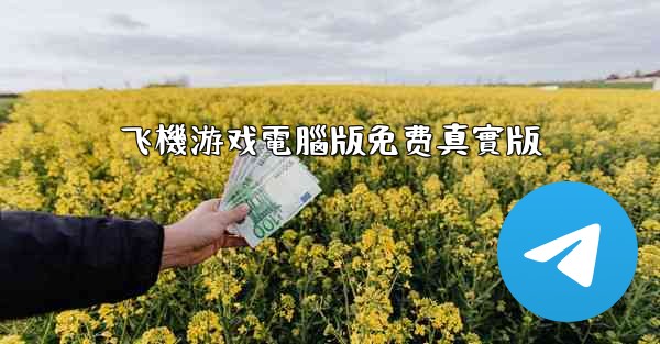 <b>飞機游戏電腦版免费真實版</b>