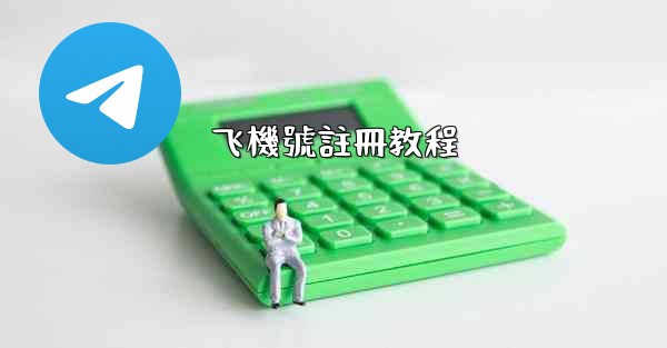 飞機號註冊教程