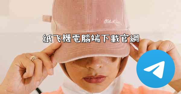 纸飞機電腦端下載官網