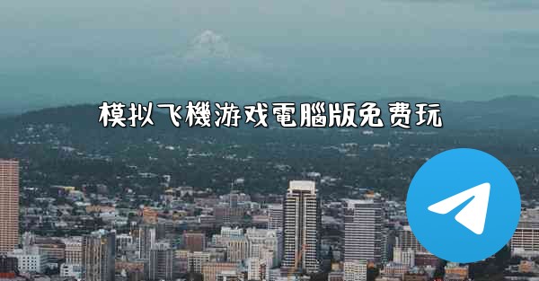模拟飞機游戏電腦版免费玩
