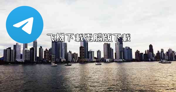 飞機下載電腦版下載