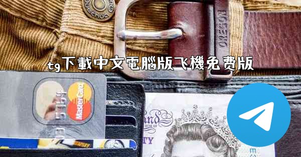tg下載中文電腦版飞機免费版