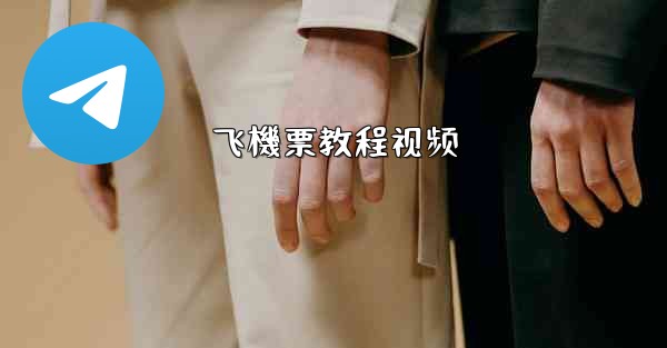 飞機票教程视频