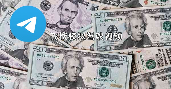 飞機模拟驾驶视频