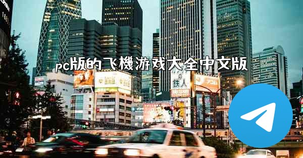 pc版的飞機游戏大全中文版