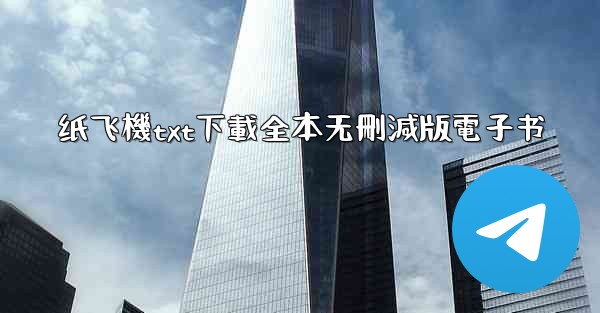 纸飞機txt下載全本无刪減版電子书