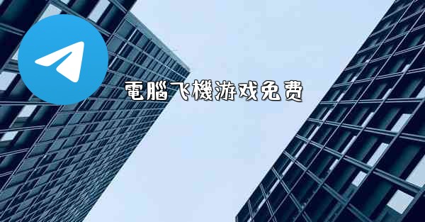 電腦飞機游戏免费