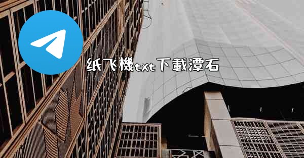 纸飞機txt下載潭石