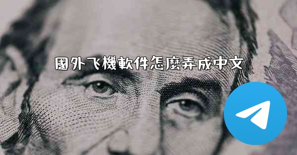 國外飞機軟件怎麼弄成中文