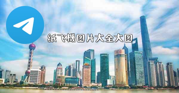 纸飞機图片大全大图