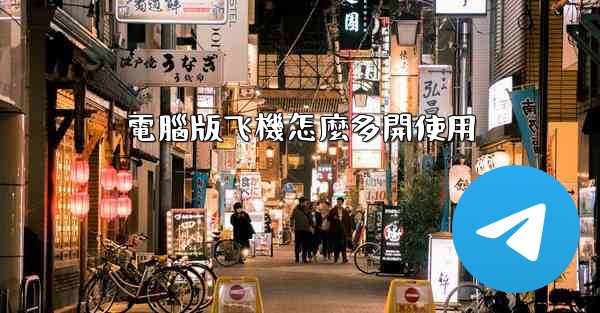 電腦版飞機怎麼多開使用