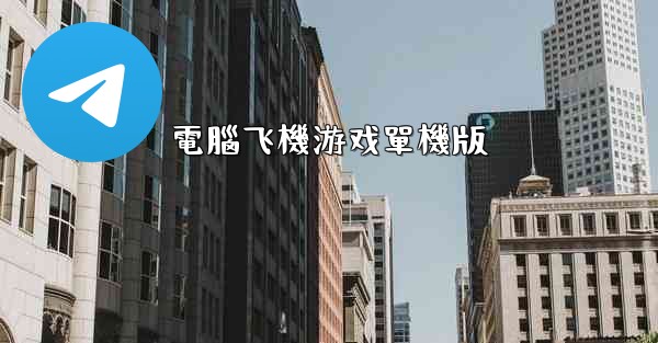 電腦飞機游戏單機版