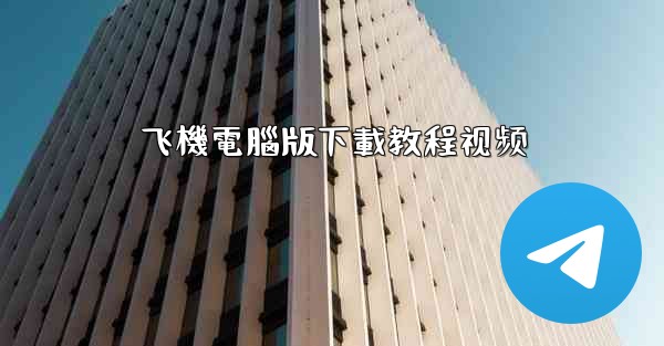 飞機電腦版下載教程视频