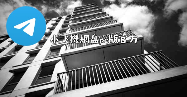 小飞機網盘pc版官方