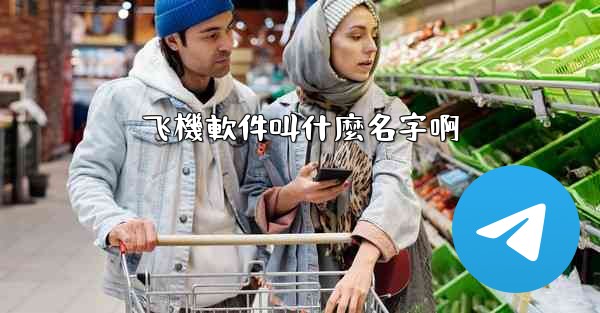 飞機軟件叫什麼名字啊