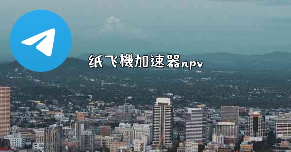 纸飞機加速器npv